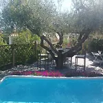 Homart Roof King Pensjonat 4*