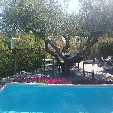 Homart Roof King Penzion 4*