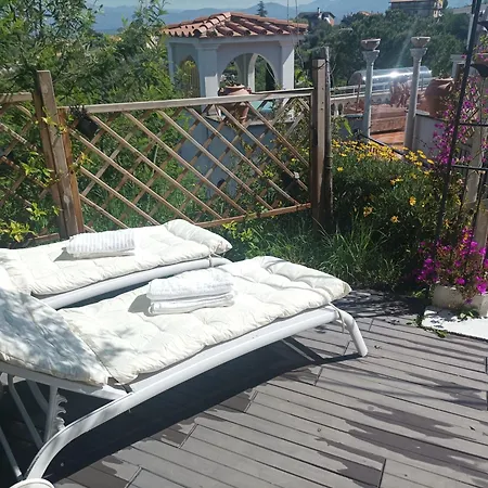 Pensjonat Homart Roof King 4*