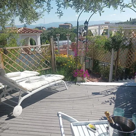 Pensjonat Homart Roof King 4*