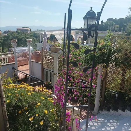 Homart Roof King Maison d'hôtes 4*